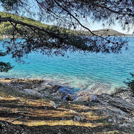 Villa Long Island Luxury Residence, Sali Dugi Otok-Private Parking,Next To Beach Exterior photo